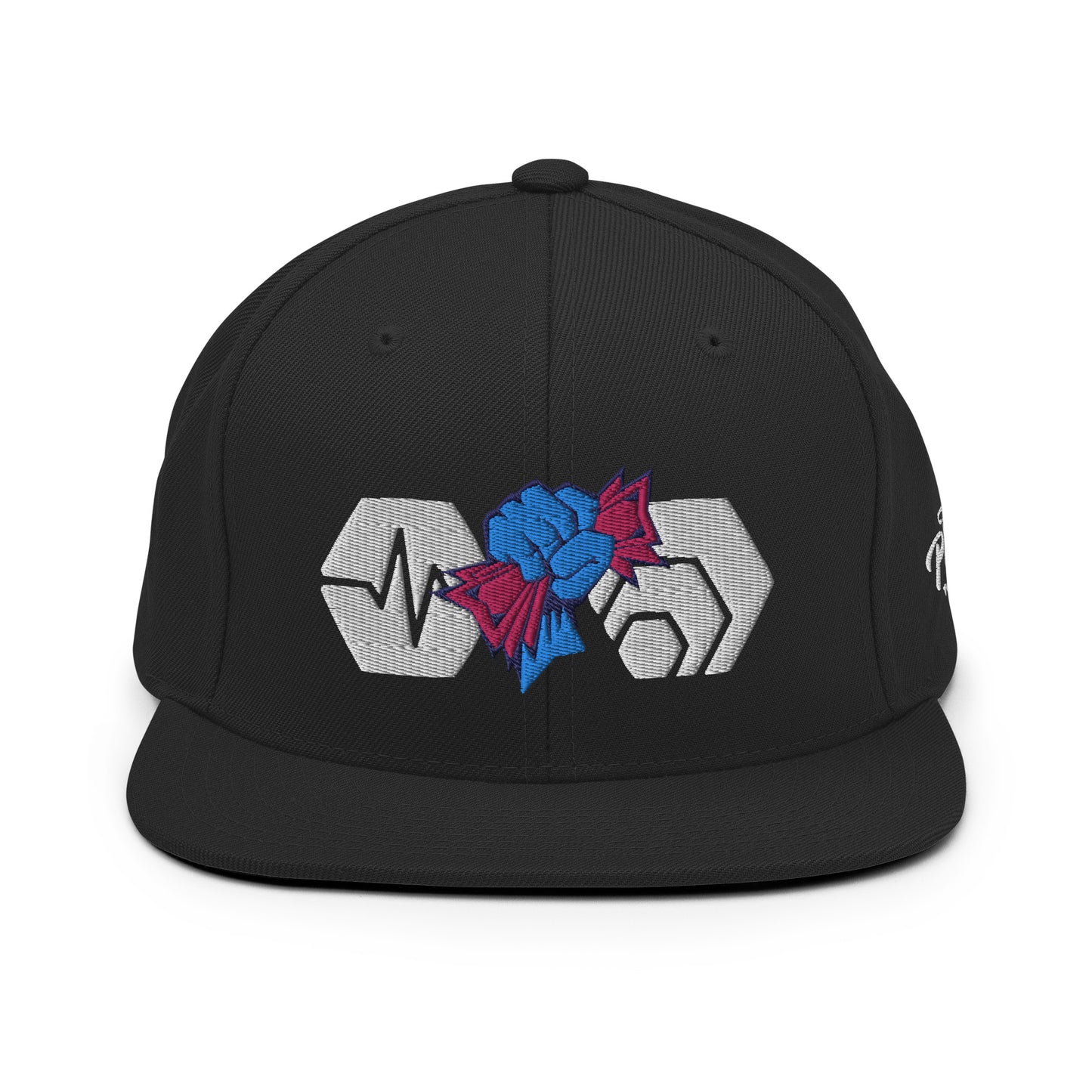 Hex Pulsechain Power To Profit Snapback Baseball Cap Hexican Crypto Merch FlexFit Flat Peak Hat