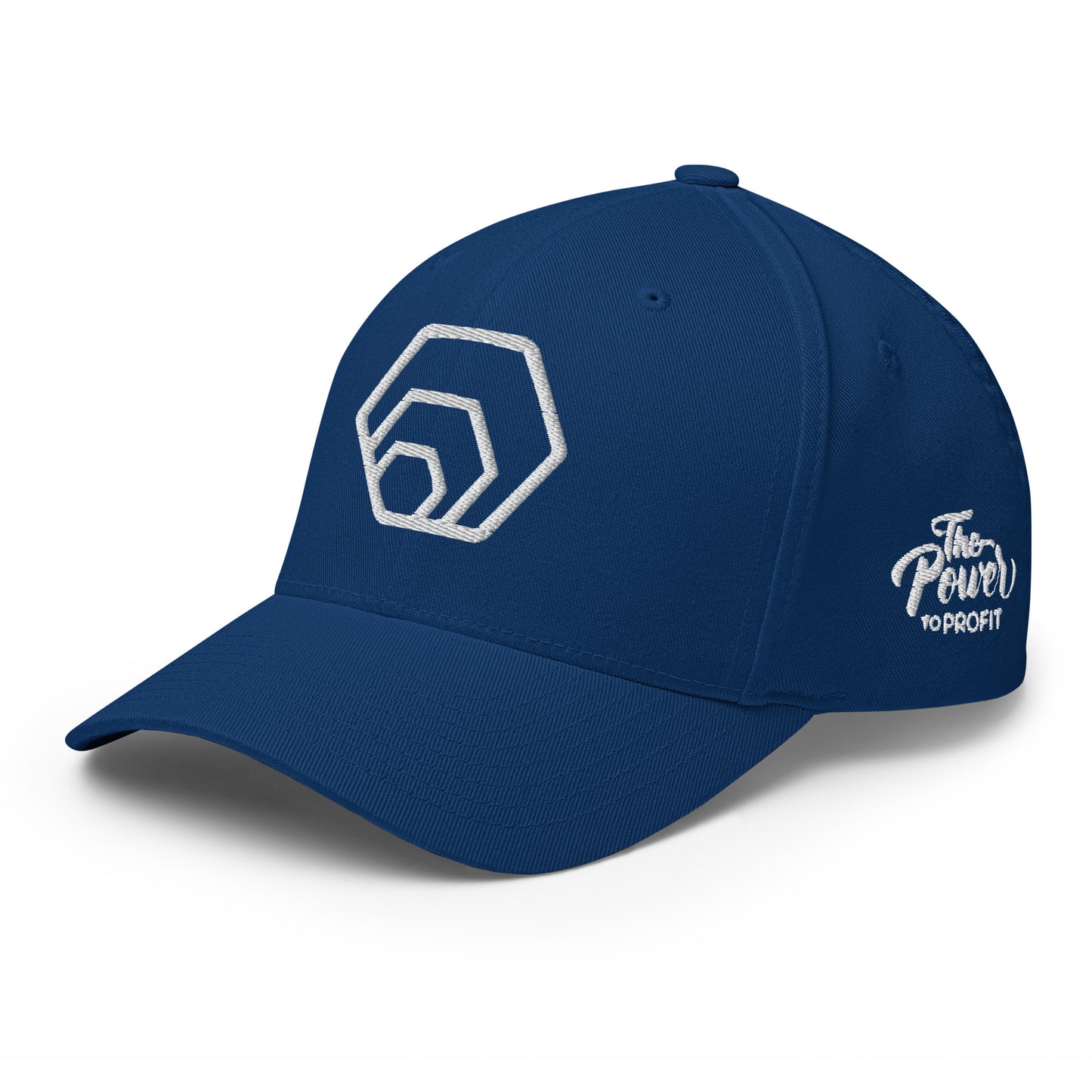 Hex Power To Profit Cap Crypto Hexican Merch FlexFit Closed Back Curved Peak