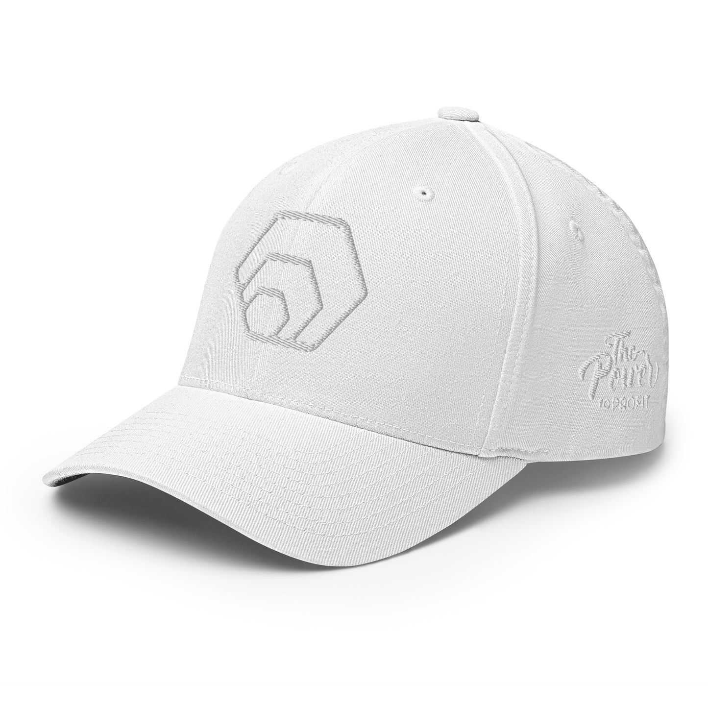 Hex Power To Profit Cap Crypto Hexican Merch FlexFit Closed Back Curved Peak